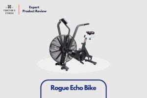 Rogue Echo Bike Review